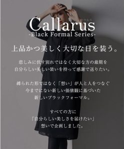 ニッセン 喪服 ワンピース 大きいサイズ レディース 礼服 日本製生地使用 洗える 防しわ スタンドカラー フロントドレープ デザイン 4L/5L nissen